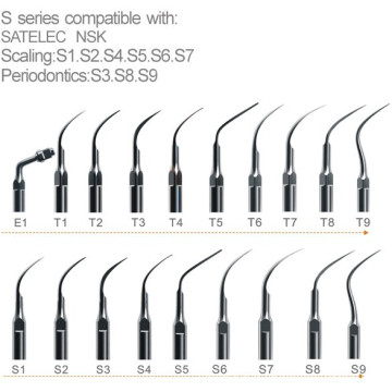 Dental Scaling Ponta / EMS Scaler (XT-FL282)